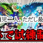 【モンスト】２体で試練制覇してみた
