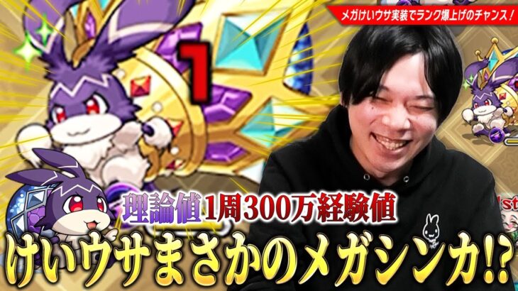 【モンスト】けいウサまさかのメガシンカ実装！？最高効率1周で『理論値300万経験値』ランク爆上げのチャンス！『けいウサ×ユーフリィム』経験値効率・注意点などを実際にプレイしながら解説！【しろ】