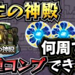 【モンスト】天然ELの実を全種コンプリートしてみた！！【原生の神殿】【ELの実】