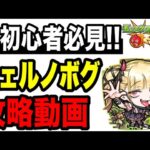 【期間限定】🔰初心者必見!! 超究極•傑チェルノボグ攻略動画 【モンスト】