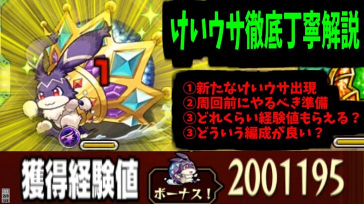 【周回解説】これがけいウサを超えたけいウサ…「キングけいウサ」ってとこかな【モンスト】