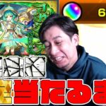 ※無課金道※超相性の良いアガスティアを狙いつつ、限定キャラが出るまで無限ガチャを引いた結果…【モンスト】【ぎこちゃん】【モンスターストライク】