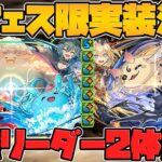 新フェス限2体性能解説！カイドウ系の環境リーダー！？りんがフェス限に！武器も強い！【パズドラ】