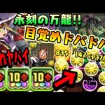 ドバドバ目覚めサンタファスカやばいWWW ギーツと合わせて万寿攻略!! 【ダックス】【パズドラ実況】