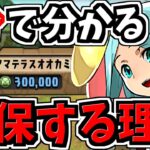 【確保推奨】1分で分かる！正月アマテラスを確保するべき理由！モンポ購入解説！【パズドラ】