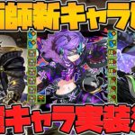 幻画師シリーズ復活決定！新キャラ3体の性能解説！7×6リーダー強枠！正月ラジョア更に活躍！？【パズドラ】