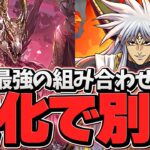 真・大魔王バーンが闇属性最強級リーダーに！変身不要で7×6盤面実質HP4倍リーダーとかおかしいだろｗｗ【パズドラ】