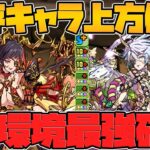 フェス限進化で環境最強に！カイドウ、DIO所持者必見！このフェス限は絶対に残してください！【パズドラ】