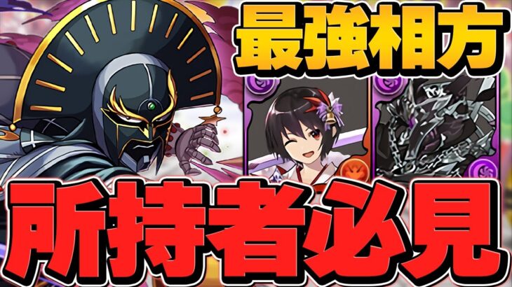 最強ラジョアに最強相方誕生！！指固定で安定、無限耐久で負けない。革命が起きてます。【パズドラ】