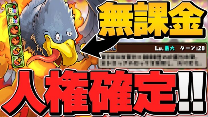 パズドラ史上最強ブレス！この無課金キャラ取らないと、絶対に後悔します。ジャミラス使ってみた【パズドラ】