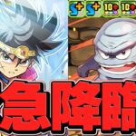 緊急降臨！ダイの大冒険コラボに”ブラス”が出現！初見攻略！報酬で黒メダルゲット！【パズドラ】