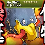 【※代用できません】え!?!?交換所にとんでもないキャラが実装されてるんですけどw～ダイの大冒険コラボ～【パズドラ】