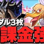 【無課金キャラ】キメラが星4でカイドウの新火力サブに！スキルも新ダンジョンで活躍確定！？【パズドラ】