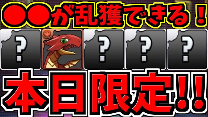 【本日限定】すぐ見て！激ウマ乱獲ダンジョンが来ています！1分解説【パズドラ】