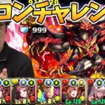 パズドラ公式の11周年記念生放送に向け「未知の新星」に挑む！【パズドラ攻略】