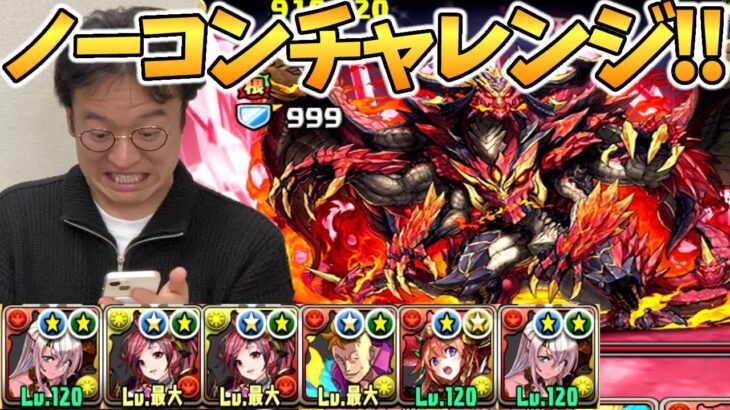 パズドラ公式の11周年記念生放送に向け「未知の新星」に挑む！【パズドラ攻略】