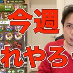 【今週のパズドラ】《2/6~2/12》にやるべき事を整理しよう