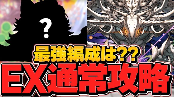 【新時代】環境最強リーダーTOP3！？LVEXを通常クリアしてるガチ勢編成がヤバすぎるｗｗ10周年ラストチャレンジ【パズドラ】