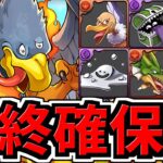 【最終確保数】＆優先順位！明日まで！結局何体確保すべき？黒メダルキャラ交換所解説！ダイの大冒険コラボ【パズドラ】
