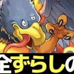 【ボス快適】ジャミラス×シヴァドラのダイ大コロシアム周回編成を解説！【パズドラ実況】