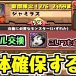 【ジャミラス〇体確保】黒メダルキャラ逃すやつおらんよな？？？ ダイの大冒険コラボ 【パズドラ】