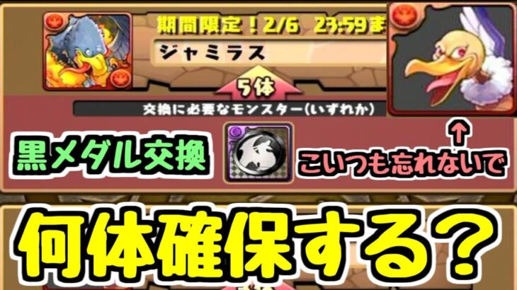 【ジャミラス〇体確保】黒メダルキャラ逃すやつおらんよな？？？ ダイの大冒険コラボ 【パズドラ】