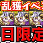 【土日限定】すぐ見て！虹ピィ乱獲イベント！周回編成！代用・立ち回り解説！【パズドラ】
