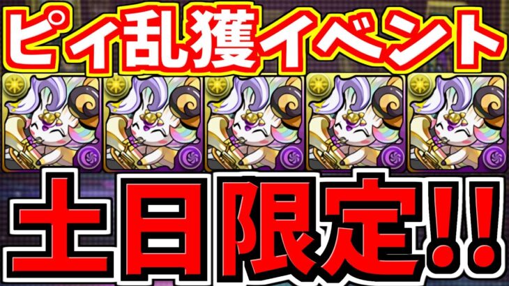 【土日限定】すぐ見て！虹ピィ乱獲イベント！周回編成！代用・立ち回り解説！【パズドラ】