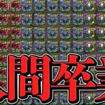 パズドラを極めた真のガチ勢達がヤバすぎる。【パズドラ】