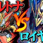 ウルフデイトナvsロイヤルノーチラスどっちが強いの！？実は〇〇〇〇の方が強いんです！【パズドラ】