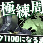 ランク1100になるまで終われないランク上げ配信【パズドラ】