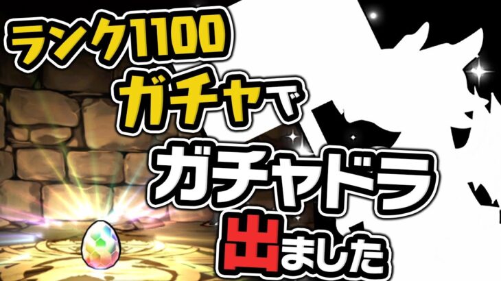 ランク1100ガチャ追加！メモリアルガチャ8連した結果…！【パズドラ】