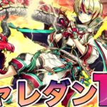 過去最高レベルの難しさ！チャレンジダンジョン14がむず過ぎる　パズドラ