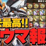 報酬美味すぎてバグです。ガンダムコロシアムをデイトナ編成で初見挑戦！スタミナ99でこれはヤバい！【パズドラ】