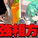 GSノーチラス×ゴンが最強の組み合わせ？→実は○○です。本当に強いキャラを紹介【パズドラ】