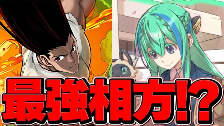 GSノーチラス×ゴンが最強の組み合わせ？→実は○○です。本当に強いキャラを紹介【パズドラ】