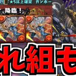 【誰でも組める】ラージャン降臨周回！シヴァドラ編成！代用・立ち回り解説！＆確保数性能解説！ガンコラ【パズドラ】