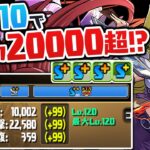 遊戯王コラボのパワーアップが木属性的には熱い件【パズドラ】