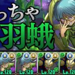 【実質羽蛾艦隊】遊戯王コロシアムで新たな発見をする男【パズドラ】
