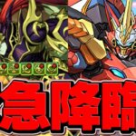 確保必須！カオス・ソルジャー降臨初見+性能解説！ウルトナで安定攻略しよう！【パズドラ】