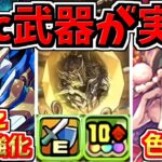 ついにロイノチ強化＆10c武器追加！！！この新キャラと能力調整ヤバすぎる【パズドラ】