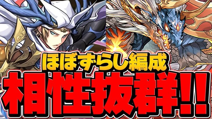 【最強テンプレ】シヴァドラ×上杉×サレーネで高速ランク上げ！1周8分 裏修羅周回編成 ランク1100メモリアル引きたい人向け！【パズドラ】