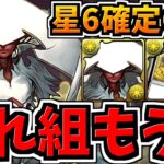 【これ組もう!!】エリシュノーン降臨周回！星6確定GET！代用・立ち回り解説！＆確保数・性能解説！MTGコラボ！マジックザギャザリングコラボ【パズドラ】