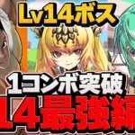 GSノーチラス×ゴン最適性編成！ボスを1コンボ破壊！魔法石14個をゲット！4月クエLV14攻略！【パズドラ】