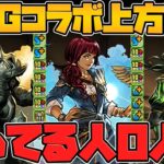 ヴラスカ！ジョイラ！カーン！ニコル・ボーラス！懐かしのキャラが全員強化！MTGコラボ 解説【パズドラ】