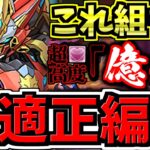 【最適正】億兆チャレンジ！ウルフデイトナ編成！代用・立ち回り解説！これ組んどけばOK！超高度！混沌の億兆龍【パズドラ】