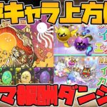 アレキサンダー大王が実装前強化！！ラビリル武器が壊れました！既存フェス限まだまだ強化されてます！【パズドラ】