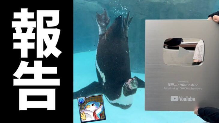【報告】今後の活動について動物園で親と話してきた【パズドラ】