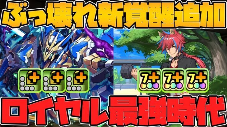 ロイヤルノーチラス所持者！今すぐこの動画見て！新覚醒追加でハジドラの予感！【パズドラ】