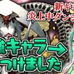 スキル回数制限で荒れてるエリシュ・ノーン降臨に挑んだらまさかの適正キャラが！？【パズドラ】